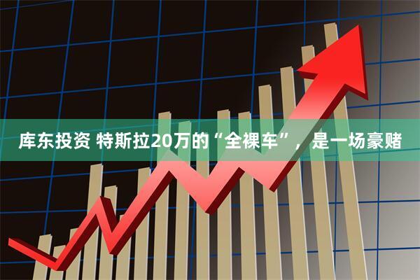 库东投资 特斯拉20万的“全裸车”，是一场豪赌
